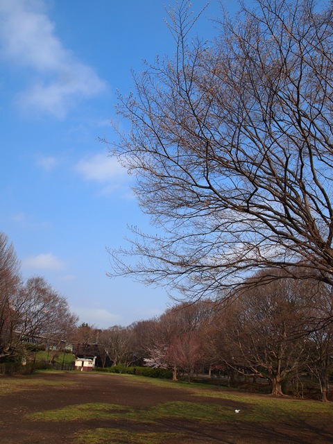 b0207615_21531652.jpg