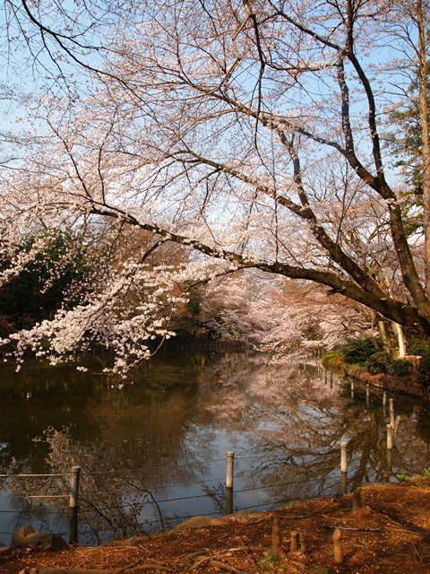 b0207615_2153215.jpg