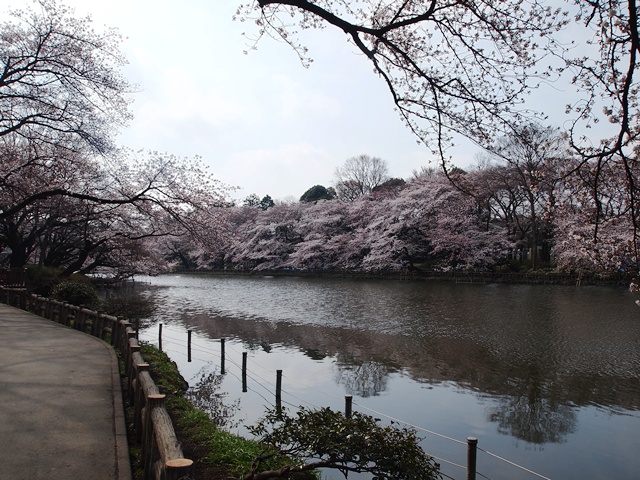 b0207615_21532557.jpg