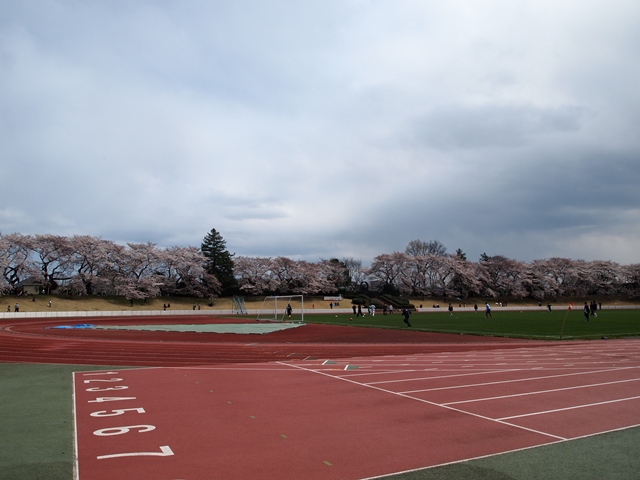 b0207615_22115827.jpg