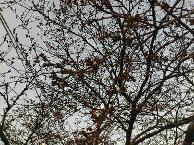 c0062315_1823697.jpg