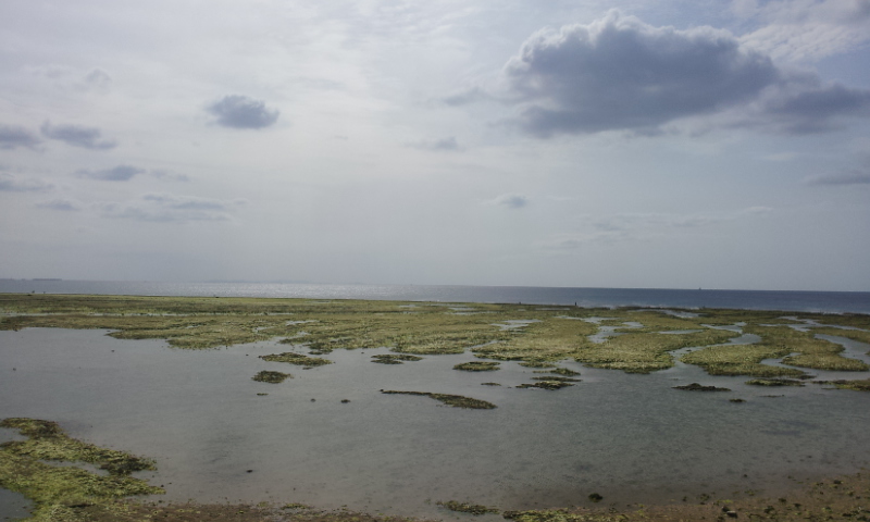 d0163916_19352420.jpg