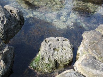 c0094218_1933286.jpg
