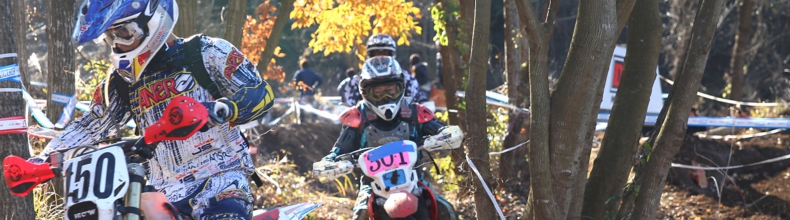 c0223419_0471824.jpg