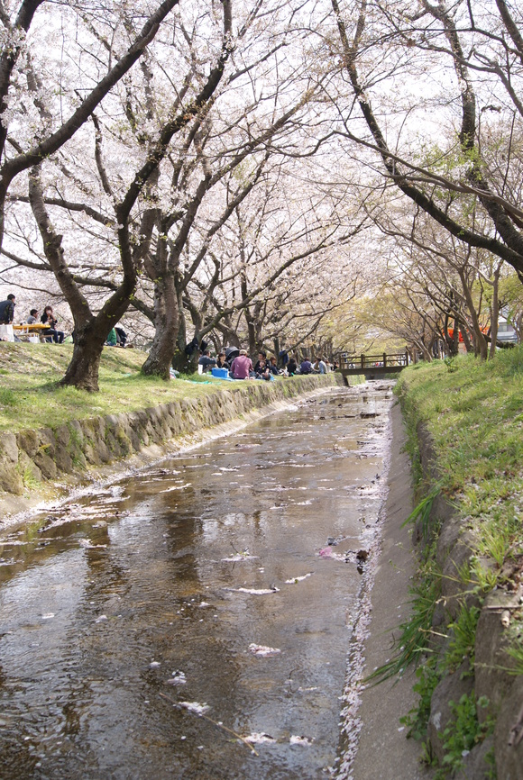 c0020320_18381637.jpg