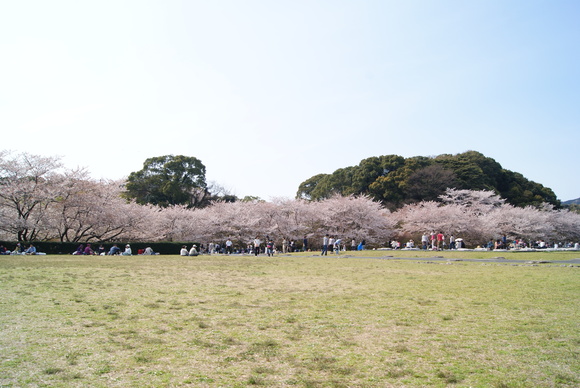 c0020320_18384673.jpg