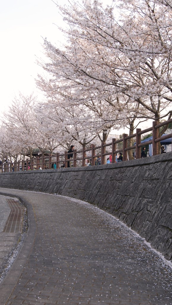 c0020320_1840048.jpg