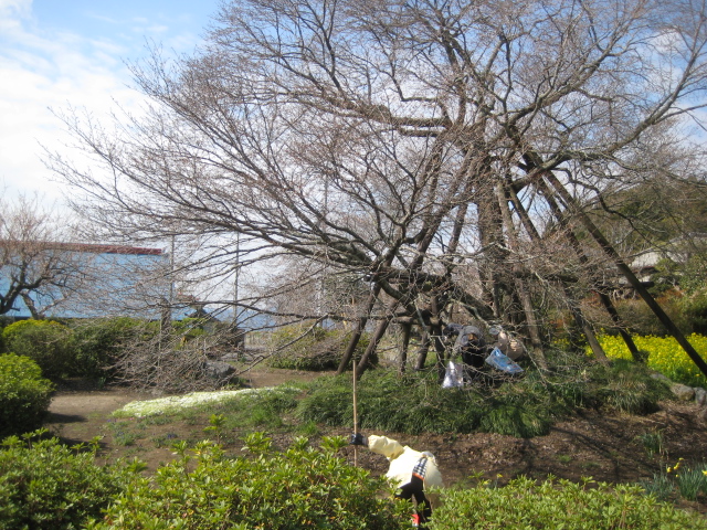 b0093221_23112810.jpg