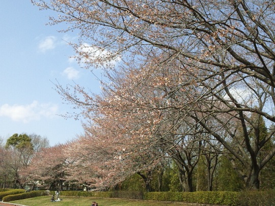b0199924_17571215.jpg