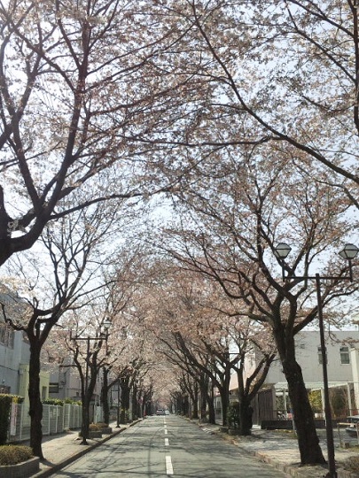 b0199924_17574971.jpg