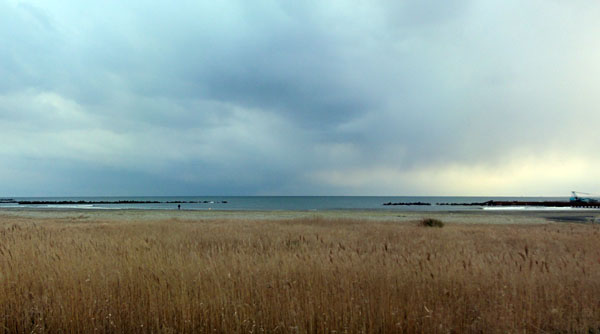 e0089826_18543895.jpg