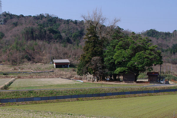 f0007926_12104136.jpg