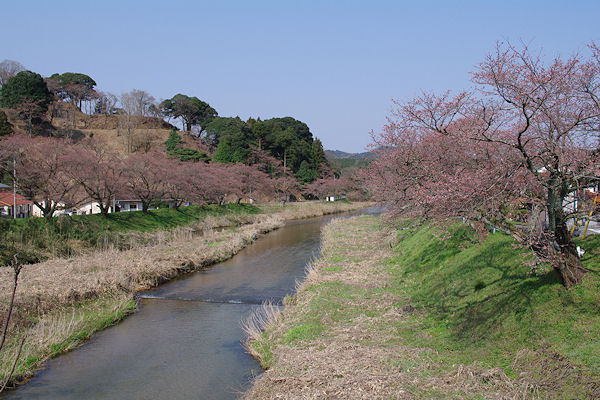 f0007926_12135453.jpg