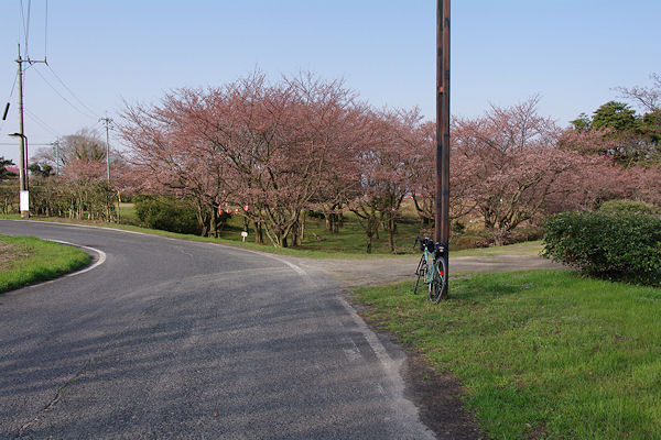 f0007926_1233540.jpg