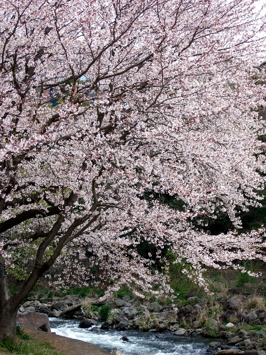f0103126_2020734.jpg