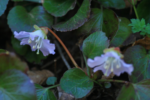 c0104227_20123186.jpg