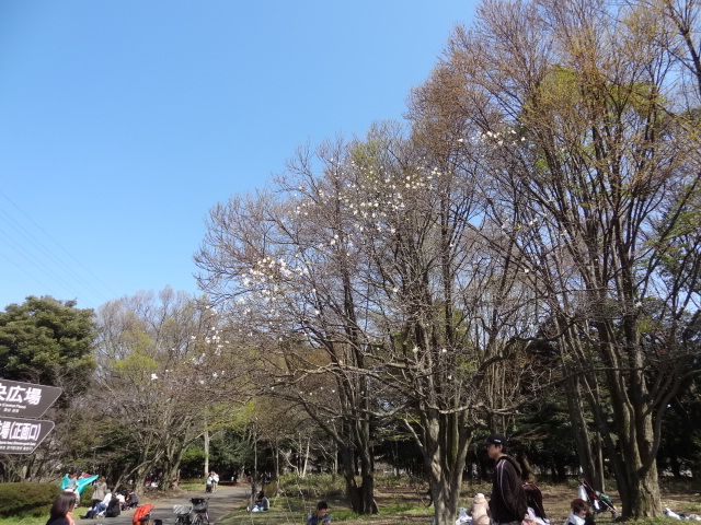 e0016828_21255120.jpg
