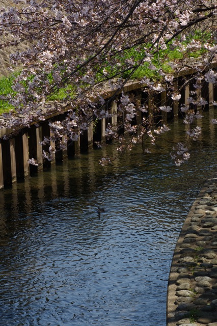 e0021328_1319174.jpg