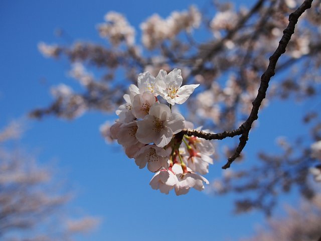b0134829_19265464.jpg