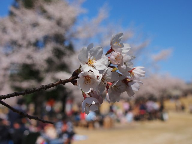 b0134829_19273129.jpg