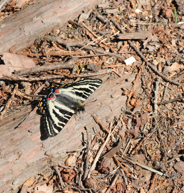 a0126632_19134779.jpg