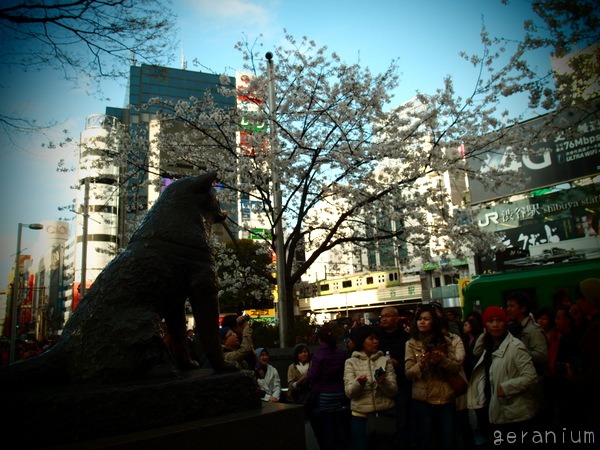c0133533_112129.jpg