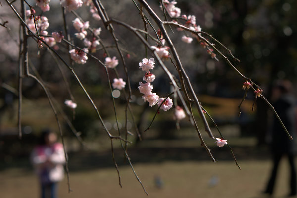 c0133533_1638977.jpg