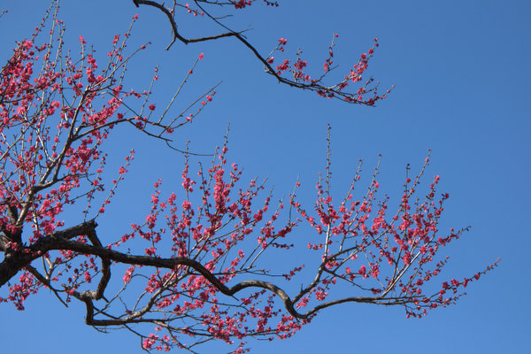c0133533_16394010.jpg