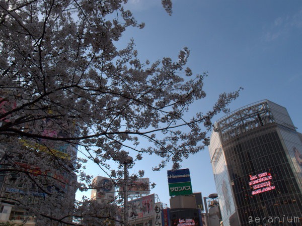 c0133533_193237.jpg