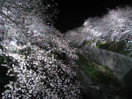 c0134734_1954240.jpg
