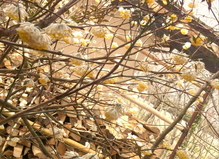 f0119834_1841822.jpg