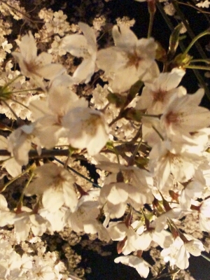 f0126934_1132330.jpg