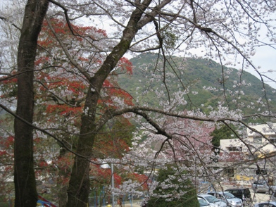 c0077338_21154124.jpg