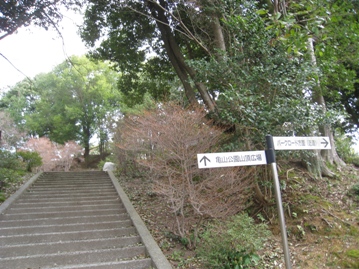 c0077338_21155878.jpg