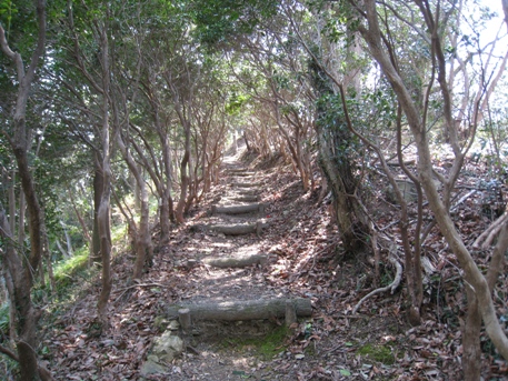 c0077338_2118272.jpg