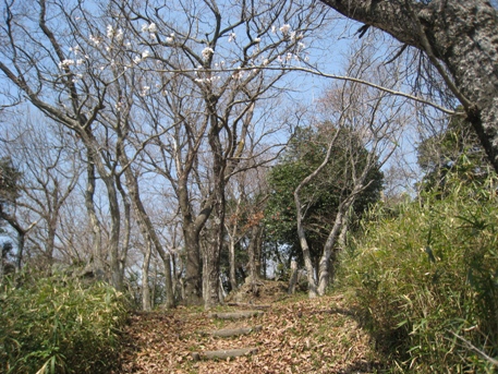 c0077338_21185459.jpg