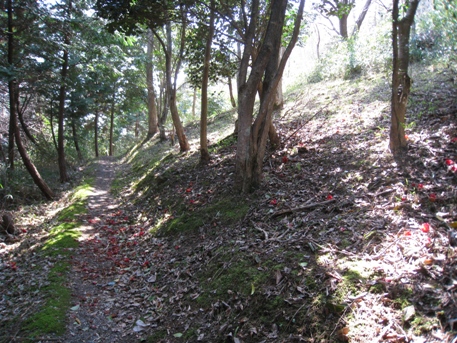c0077338_21191181.jpg