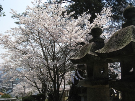 c0077338_21192680.jpg