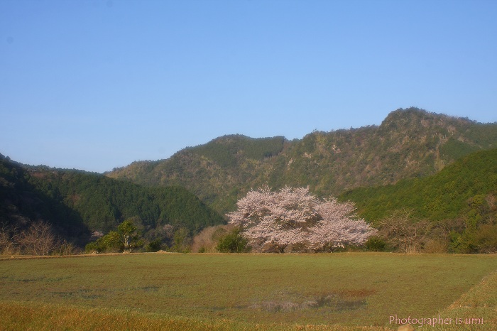 e0083238_147640.jpg