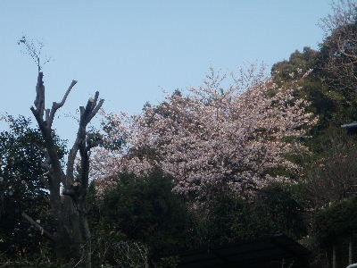 a0054240_211108.jpg