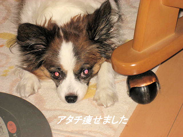 a0149240_7351667.jpg