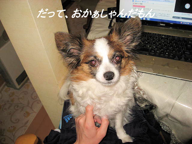 a0149240_7474617.jpg