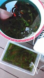 b0082242_16102018.jpg