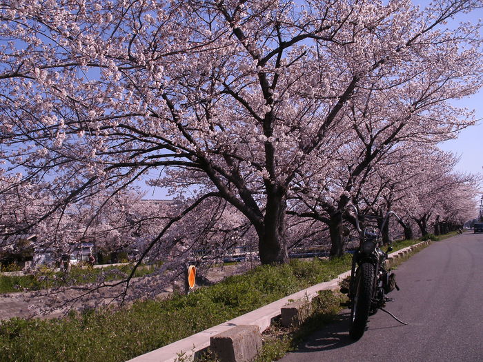 c0206742_1002636.jpg