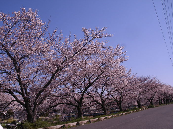 c0206742_1002940.jpg