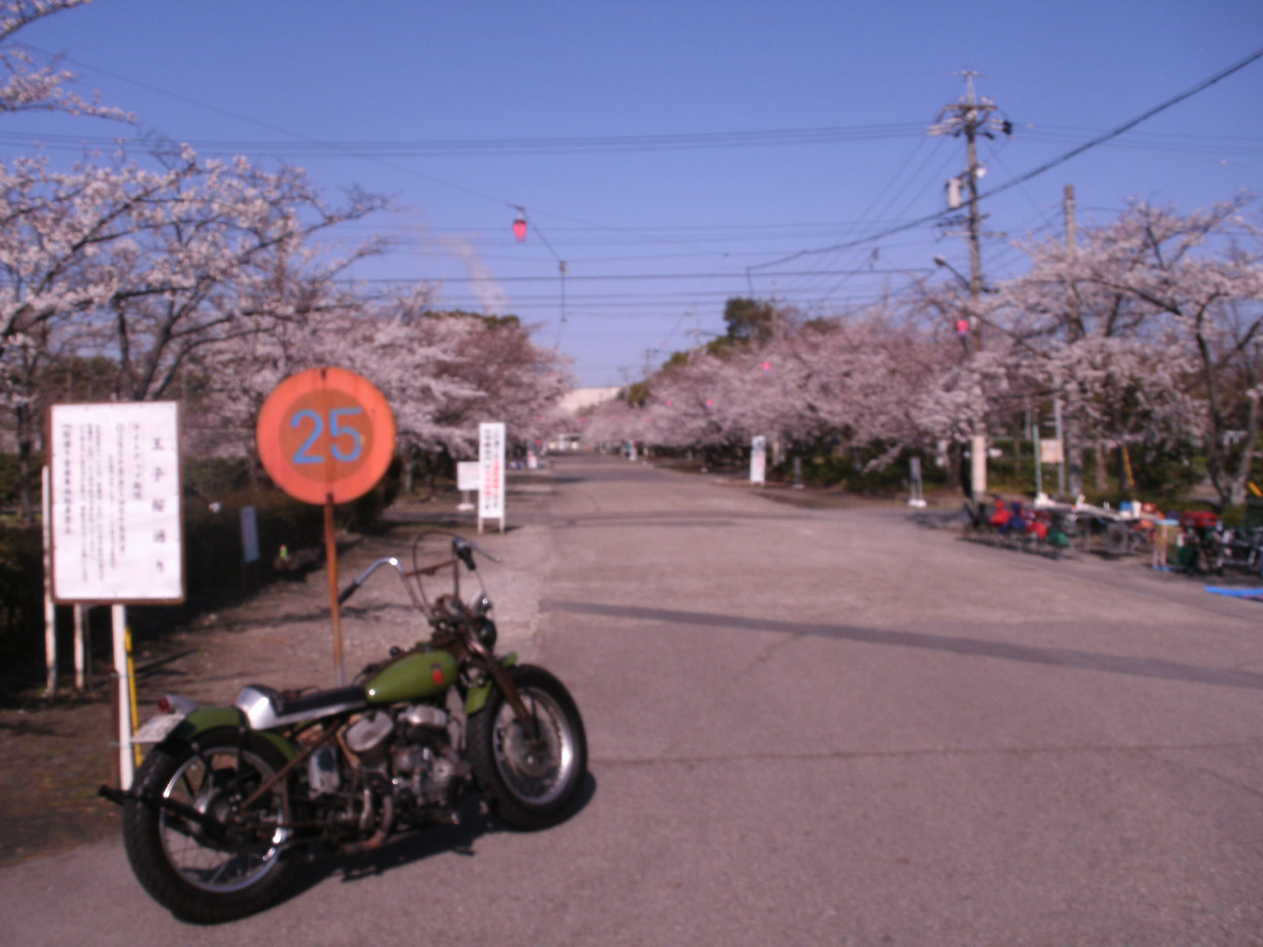 c0206742_9594728.jpg