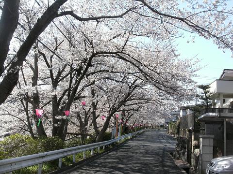 a0124543_1748521.jpg