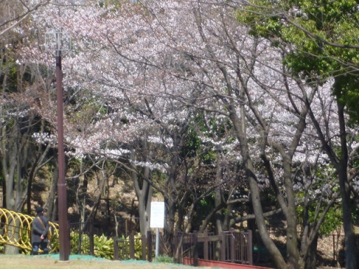 f0075043_20122152.jpg