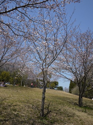e0100046_16113392.jpg