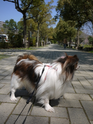 e0100046_1675566.jpg